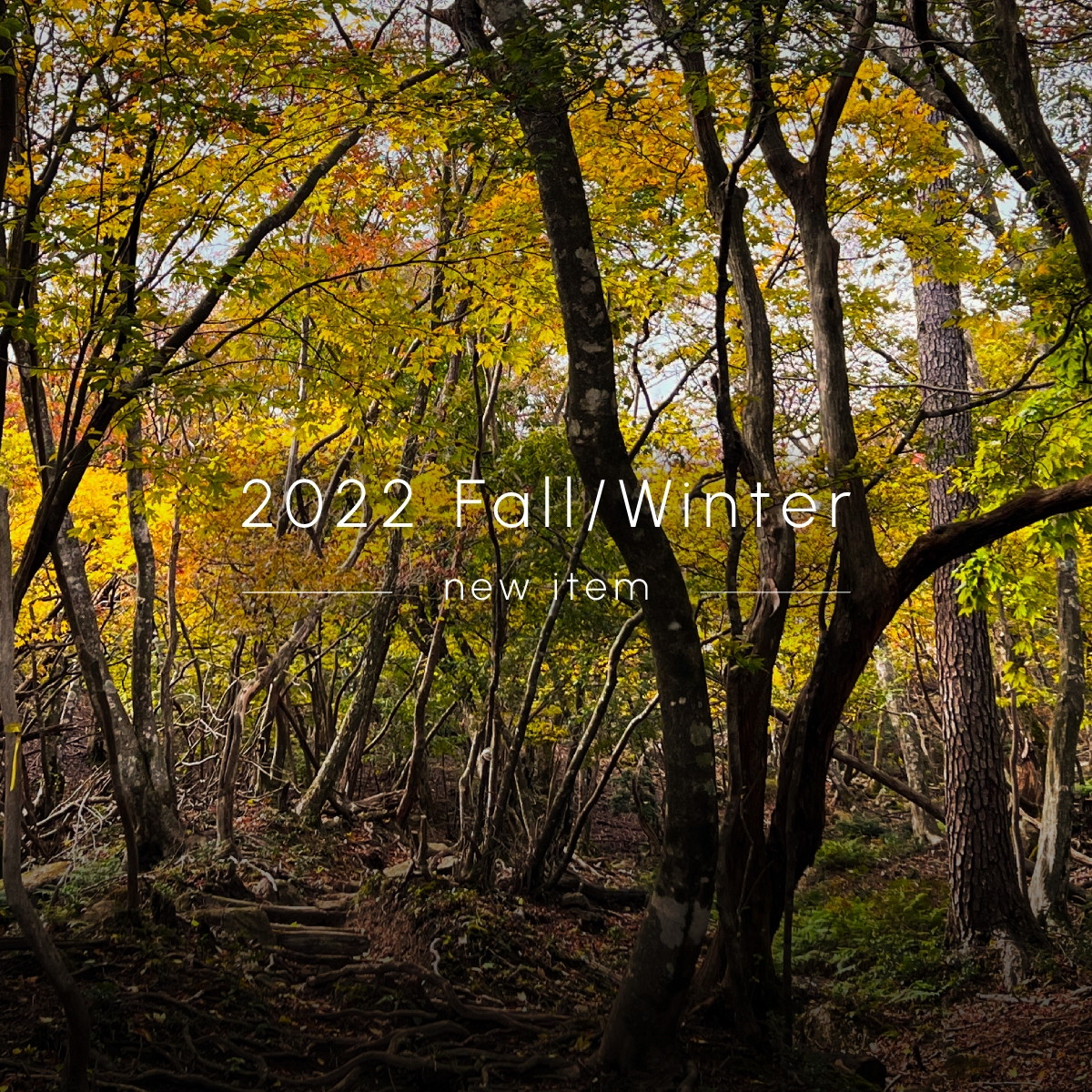 [2022 Fall /  Winter] newarrival