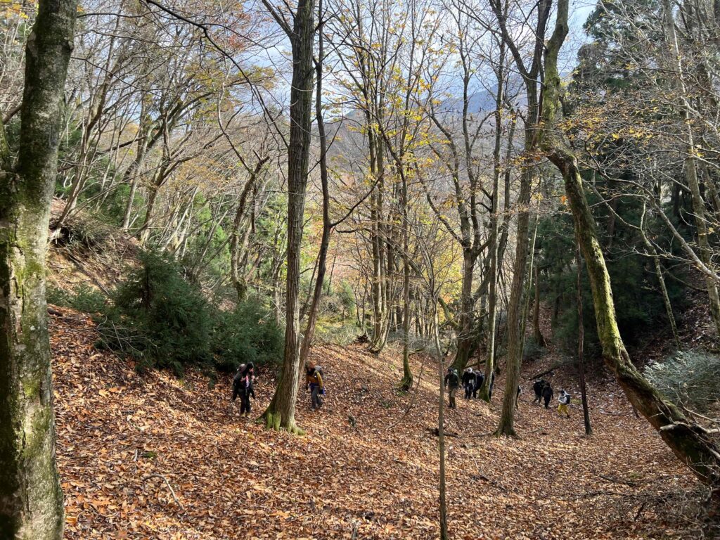 AXESQUIN ELEMENTS  Classic Route Hiking 備忘録