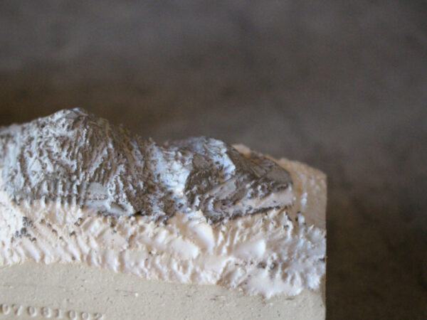 N/OH ポップアップ期間限定商品をご紹介。