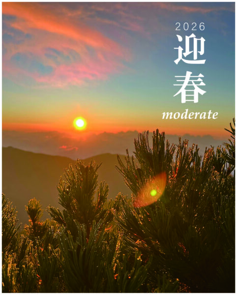 2026年moderateの初売り「初モデ」