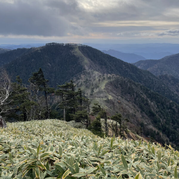 憧れの南アルプス深南部