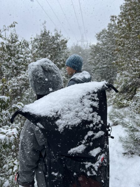 令和八年 冬の出張シノギング備忘録