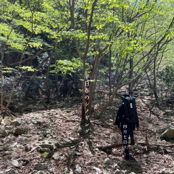 4月7日(火)開催 平日春のシノギング