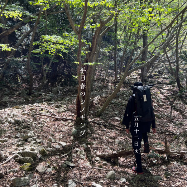 【開催日＆場所変更】5月12日(火)開催 平日春のシノギング