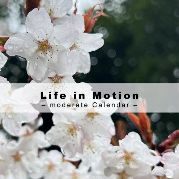 moderateカレンダー